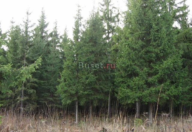 Продается  участок 10 сот. , к Москва