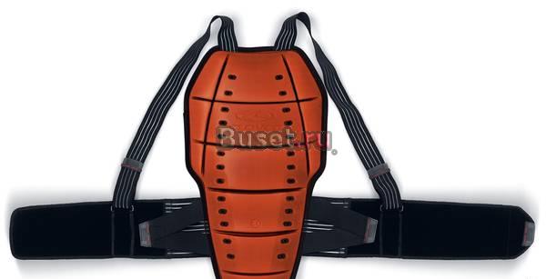 Черепаха Clover размер L Москва