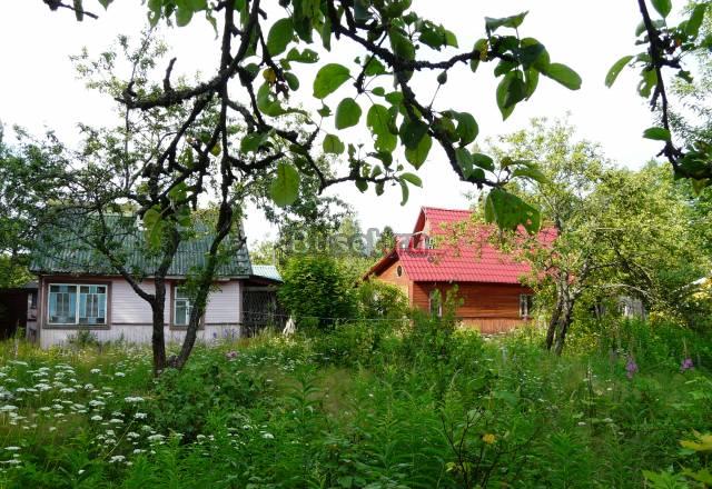 Сертолово Санкт-Петербург