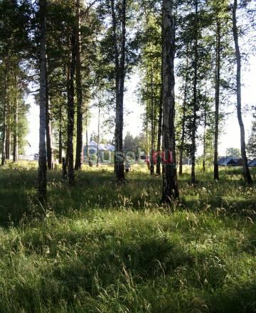 Земельный участок в пос. Крылатовский Дегтярск