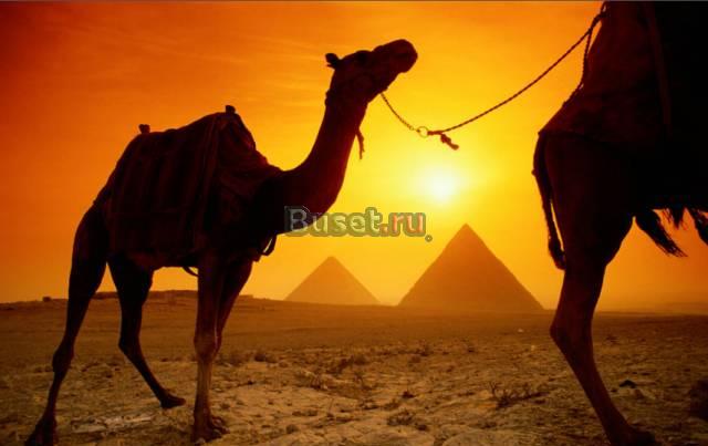 Горящие туры в египет Челябинск
