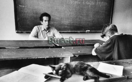 Контрольные работы по высшей математике Саратов