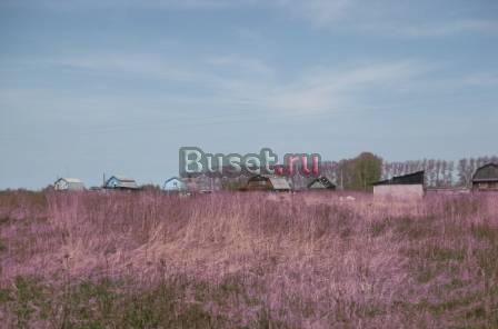 Земельный участок в поселке Рязанцево Переславль-Залесский