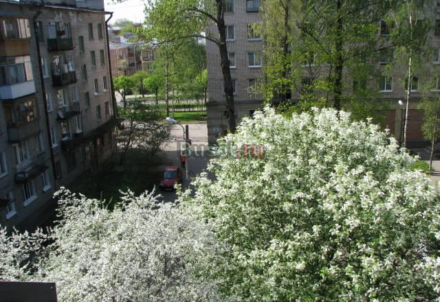 Однокомнатная квартира в Пушкине Санкт-Петербург