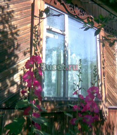 Дом, большой дом Новосибирск