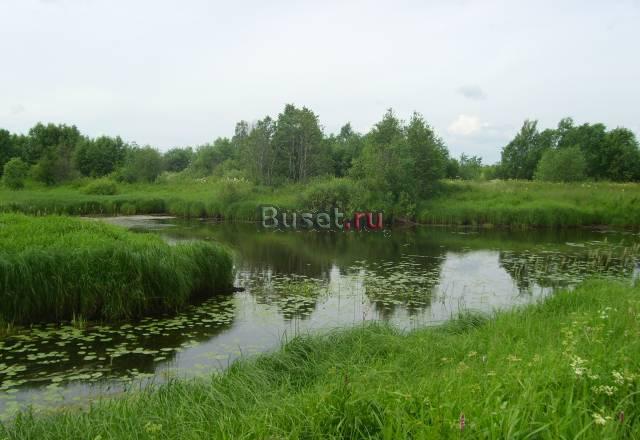 Дом в деревне на берегу живописной реки лес вокруг Москва