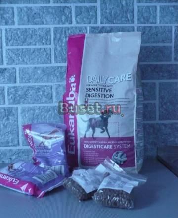 Корм Eukanuba Санкт-Петербург