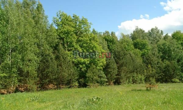 Участки от 15 соток в Серпуховском р-не Серпухов