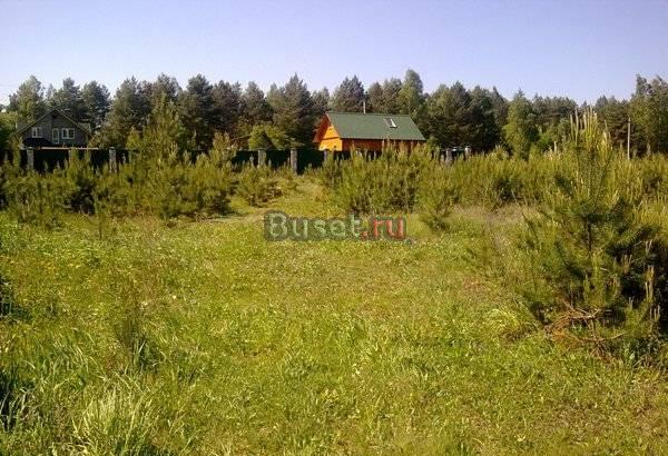 Участок 20 соток в д. Игумново 90 км от МКАД Серпухов