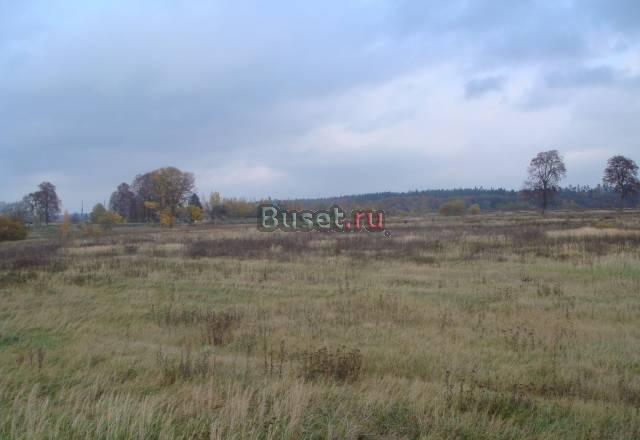 Земельный участок Калининград