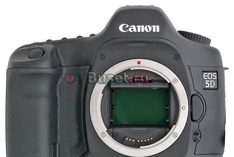 Canon EOS 5D Body Москва