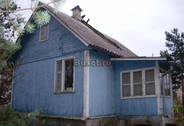 ново-токсово теплая зимняя дача 1990гп 6сот  Санкт-Петербург