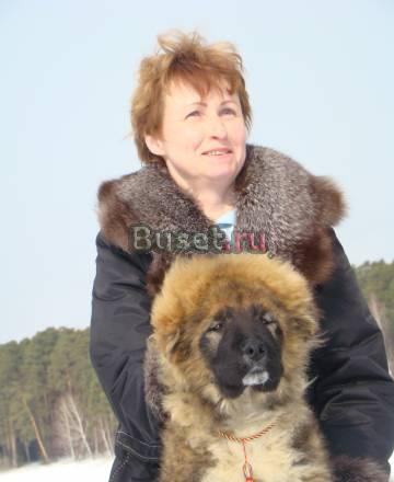 Щенки кавказской овчарки Екатеринбург