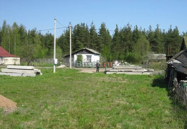 Участок в Кингисеппе, ижс, в ч/г, 300 м до реки Кингисепп