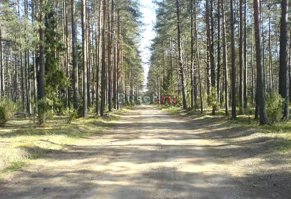 Участок на о.Селигер,первая линия Москва
