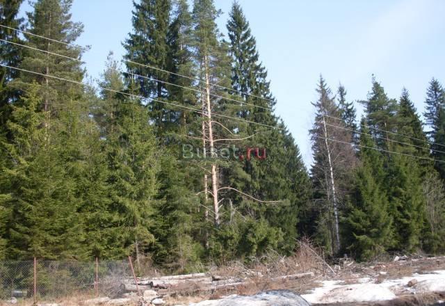 15 км спб,днп Медное озеро-2,уч.10 сот Санкт-Петербург