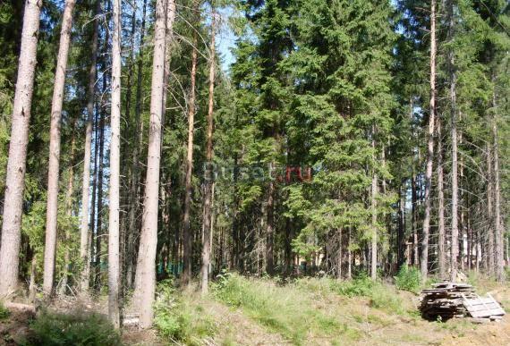 Медное озеро,днп Каскад,уч.20(25) сот,газ,вода Санкт-Петербург