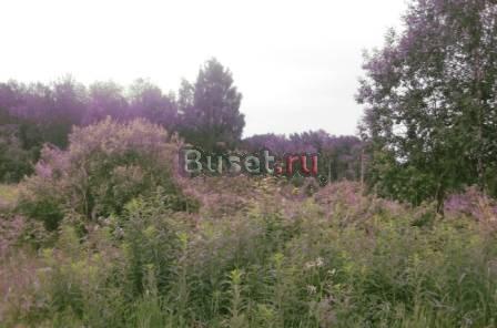 Участок 15 соток для ижс в с. Соломидино Переславль-Залесский