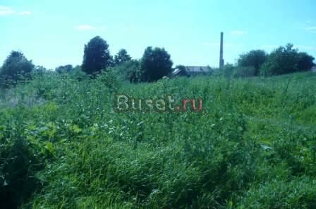 Большая Брембола Переславского района Переславль-Залесский