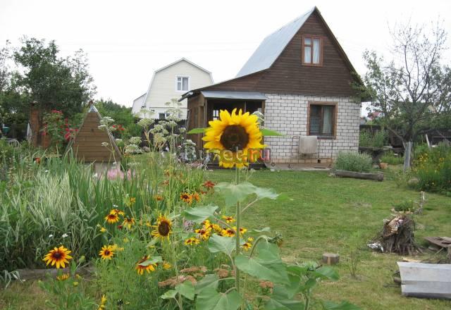 Дача Одинцово