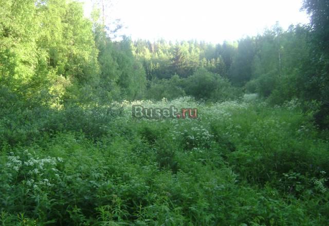 Продаю участок 36 соток на берегу реки,пос.Лужайка Выборг