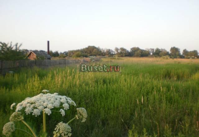 Новгород обл,Шимск р-он,зем уч15сот Санкт-Петербург