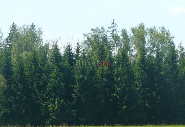 Земельный участок 23км от МКАД  по Калужскому шосс Москва