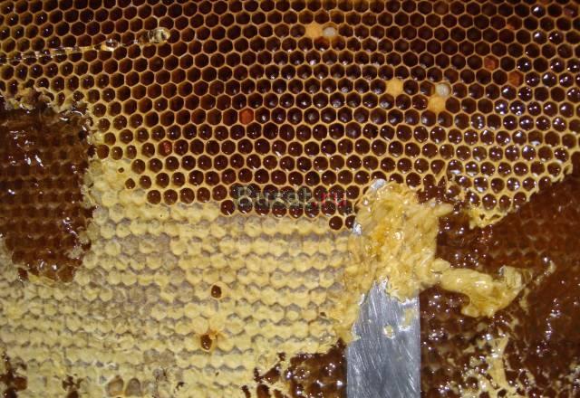 Мёд майский 1т и подсолнечный 1.5т Тарасовский