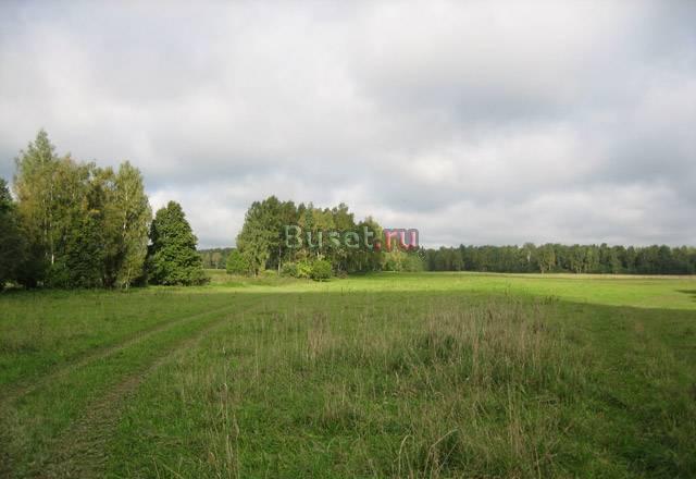 Участок у озера 2 га Москва