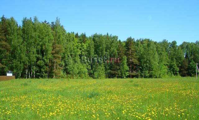 Участок 12 соток Фряновское ш. 30км от МКАД Москва