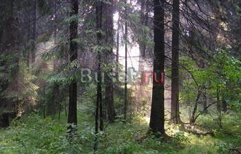 Куплю дом  . от 300 кв.м., от 12 соток Москва