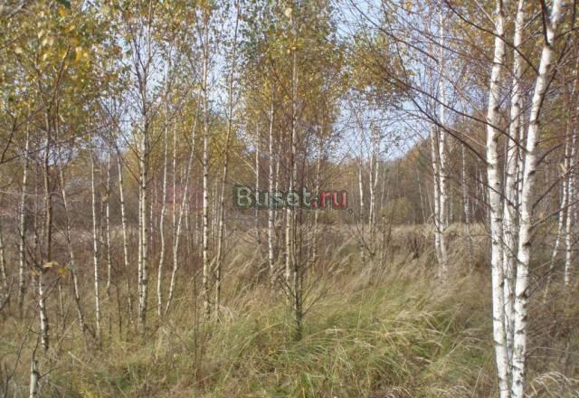 10 соток рядом с лесом, 23 км от МКАД, Строкино Раменское