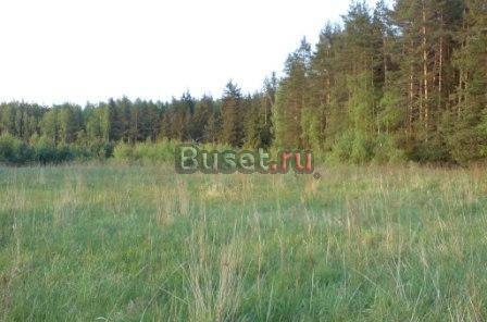 Продам участок 8сот в сосновом бору.г.Киржач Москва