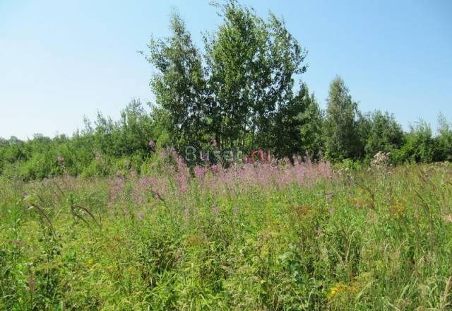 Земельный участок 18 соток, деревня Гостешево Жуков