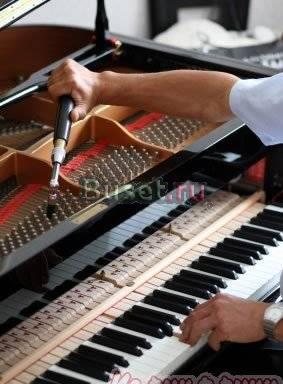 Экспертная оценка пианино Купля Продажа Дарение Москва