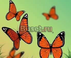 АэрографияStyle PRO Санкт-Петербург