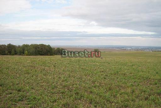 Сельхозземли Саратов