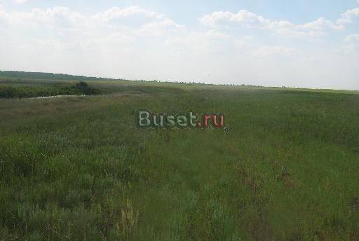 Сельхозземли Саратов