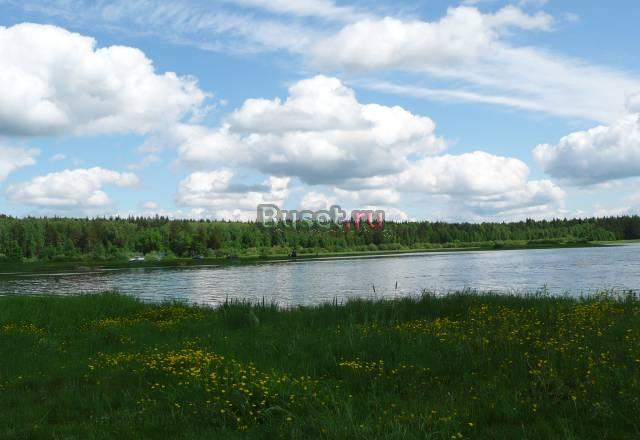 Уч.ижс в Сосновом Бору Санкт-Петербург