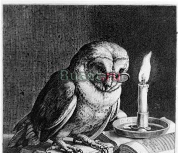 Профессиональная помощь опытного адвоката Смоленск