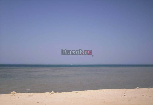 Земля в Египте Москва