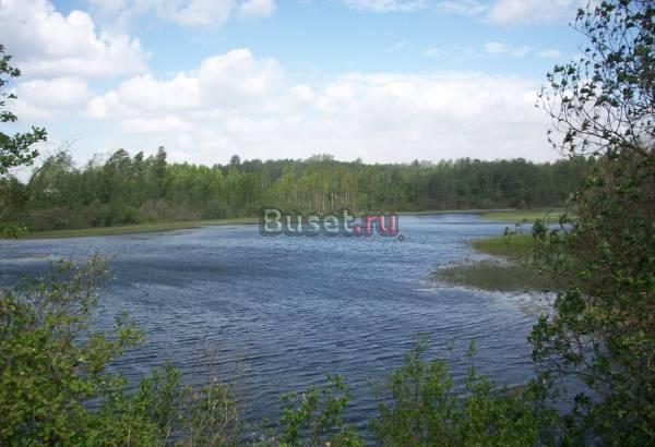 Участок свой берег речки Кингисепп