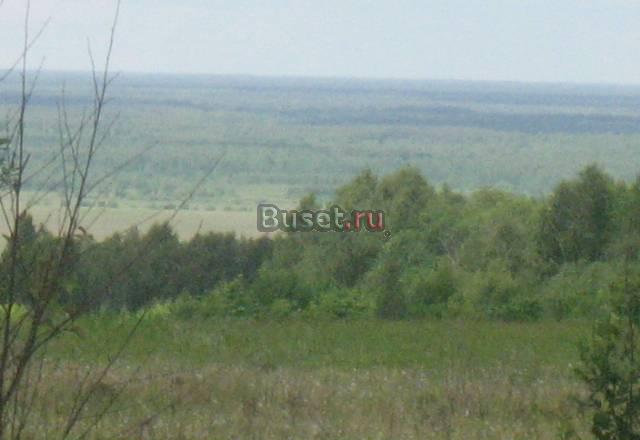 Земельный участок Гороховец
