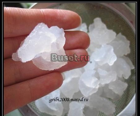 Чайный гриб, Тибетский молочный гриб, Морской рис Москва