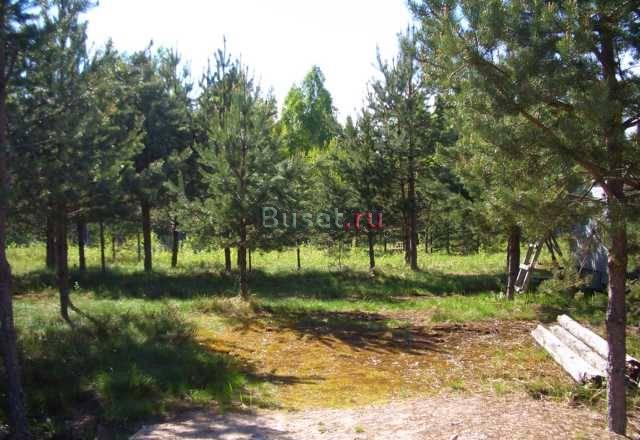 Всеволожск+12км.,СНТ"Виктория",участок 10.4 сот Всеволожск