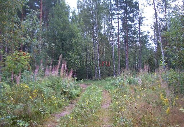 47 км.шоссе Спб - Пески, тиз"Карасары", 15 сот Токсово