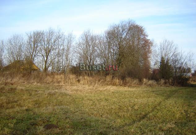 Заповедник Завидово, д. Рязаново 47 соток Тверь