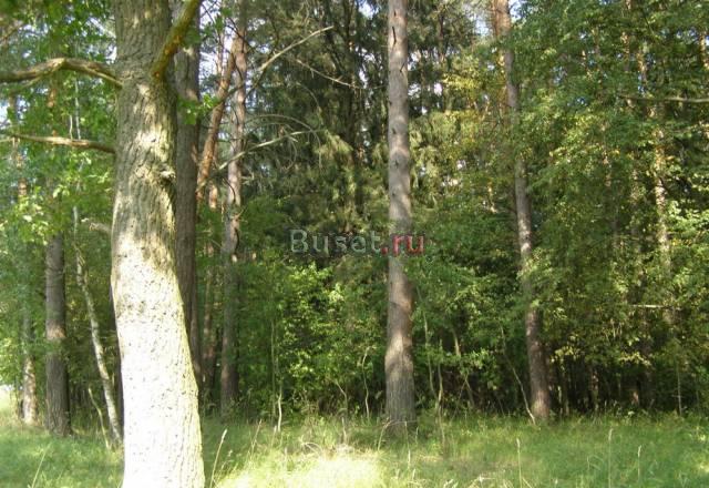 Недорогие участки в поселке, Раменски р-н Москва