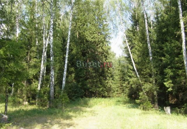 Участок в поселке в окружении леса, Чеховский Москва