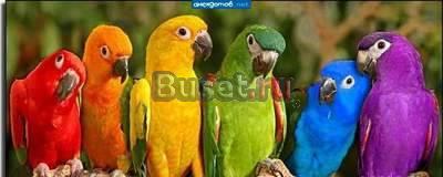 Помогу перевезти ваши вещи технику или мебель Москва